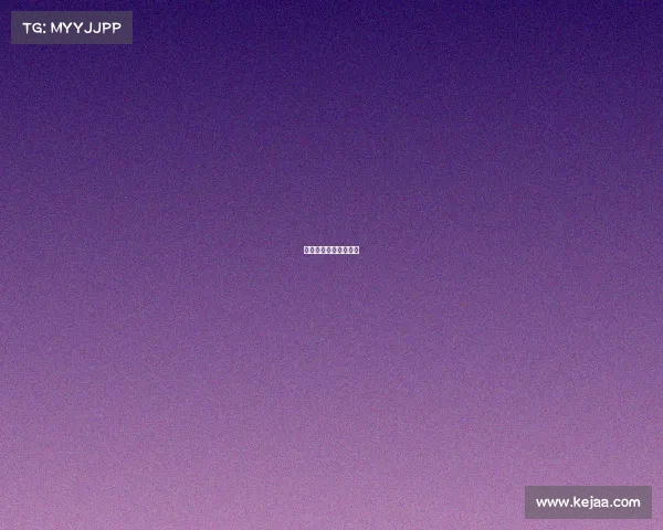 雨晨电子竞技雨晨科技